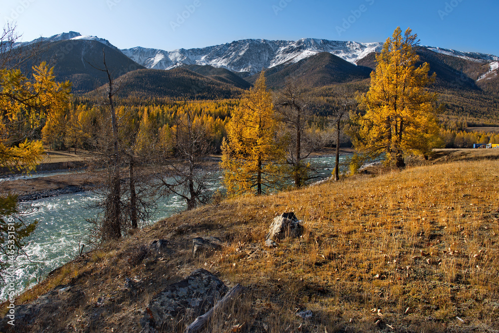 Russia. The South of Western Siberia, the Altai Mountains. Autumn on the Chuya River at the foot of the North Chuya Mountain range along the Chuya tract.