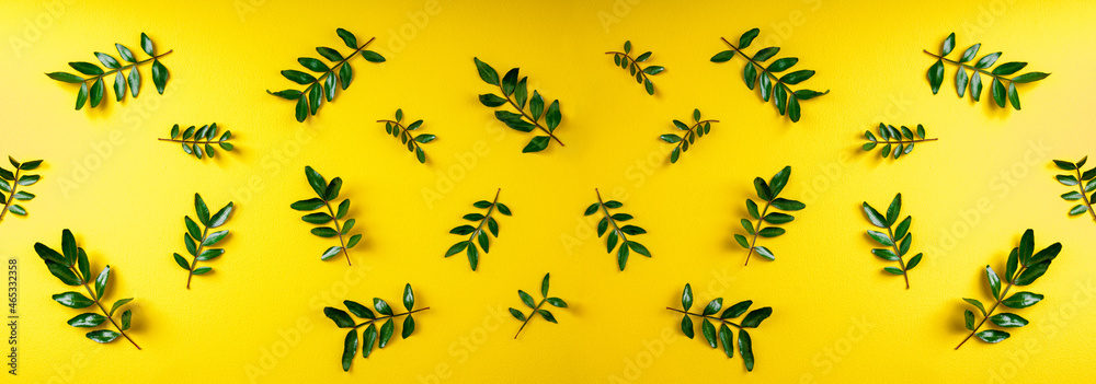Pistachio branch with green leaves on yellow background. Green leaves pattern. Top view, flat lay Pistachio branch with green leaves on yellow background. Green leaves pattern. Top view, flat lay