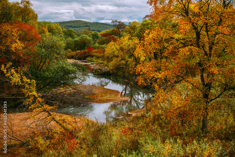 River in early autumn, colored leaves, beautiful landscape