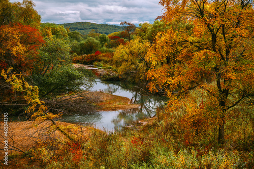 River in early autumn  colored leaves  beautiful landscape