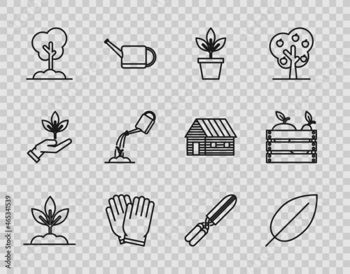 Set line Plant, Leaf, Flowers in pot, Garden gloves, Tree the ground, Watering can with water, Gardening handmade scissors for trimming and Wooden box fruits vegetables icon. Vector