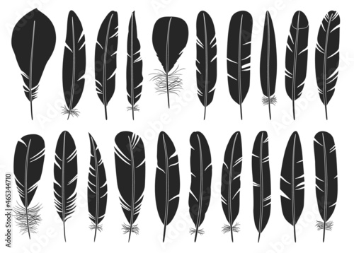 Fotografia Feather of bird black vector set illustration of icon
