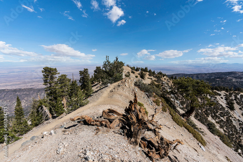 Pacific Crest Trail near Mt...