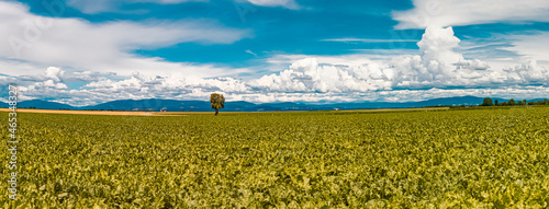 High resolution stitched panorama of a beautiful cloudy summer view near Ottmaring, Bavaria, Germany