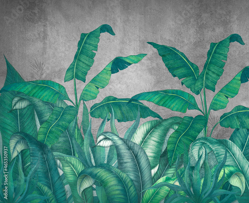 Tropikalne liście na szarym tle. Fototapeta z liśćmi. Fresk do wnętrza. Dekoracja ścienna w stylu grunge. Malowane zielone liście. Fototapety 3d.