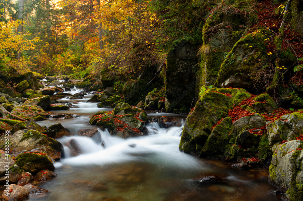 Beautiful waterfall with autumn colors somewhere in Romania 