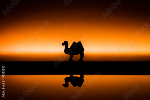 Fototapeta Naklejka Na Ścianę i Meble -  silhouette of a camel