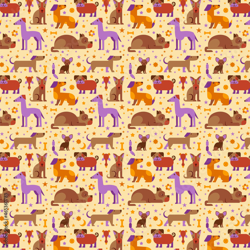 Fototapeta Naklejka Na Ścianę i Meble -  Pattern with different breeds of dogs and dog toys and stars