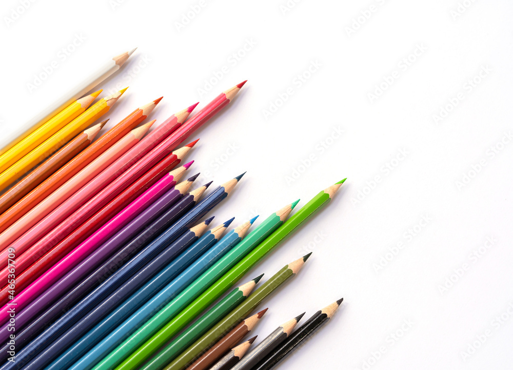 Colorful multicolored pencils on white background. Education, Business and finance concept with copy space. Art