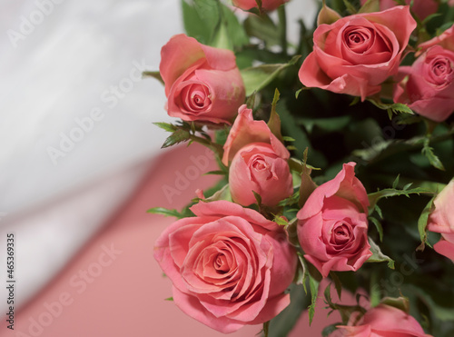 A bouquet of pink roses on a delicate white-pink background. macro. view from above