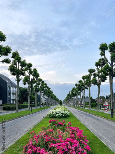 Photography A straight street in Honfleur with flowers, without people, Space for text