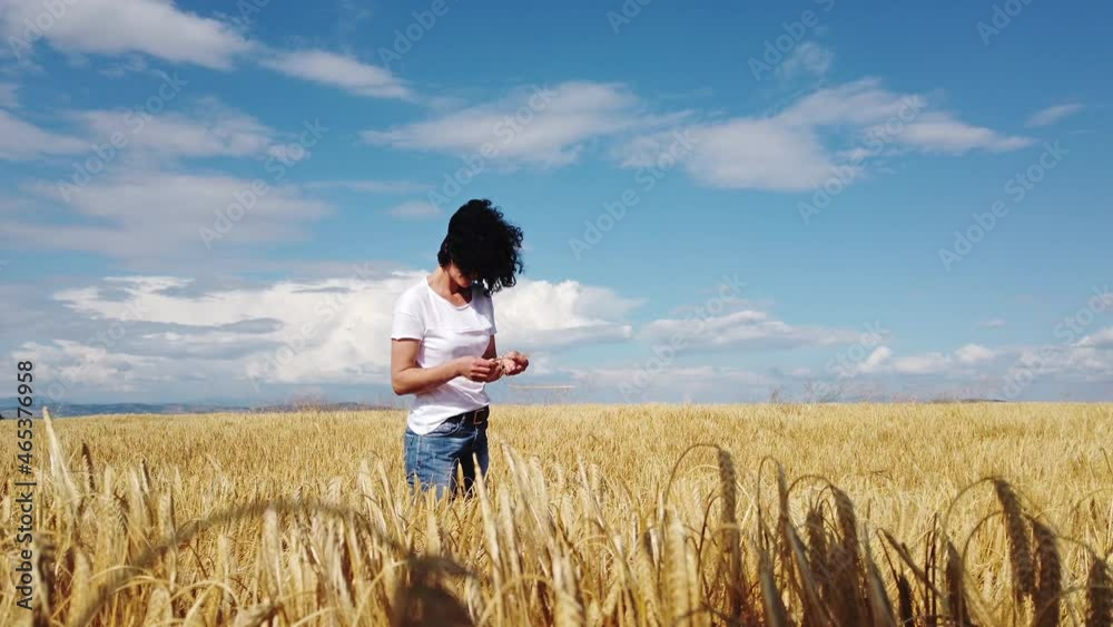 Slow motion of a happy young farmer woman holding ear of wheat and checking the quality of the wheat Slow motion of a happy young farmer woman holding ear of wheat and checking the quality of the wheat