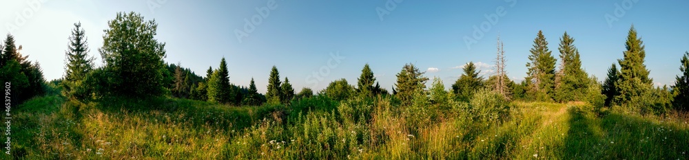 Panorama of a tourist tent on a green meadow on a background of forests and peaks