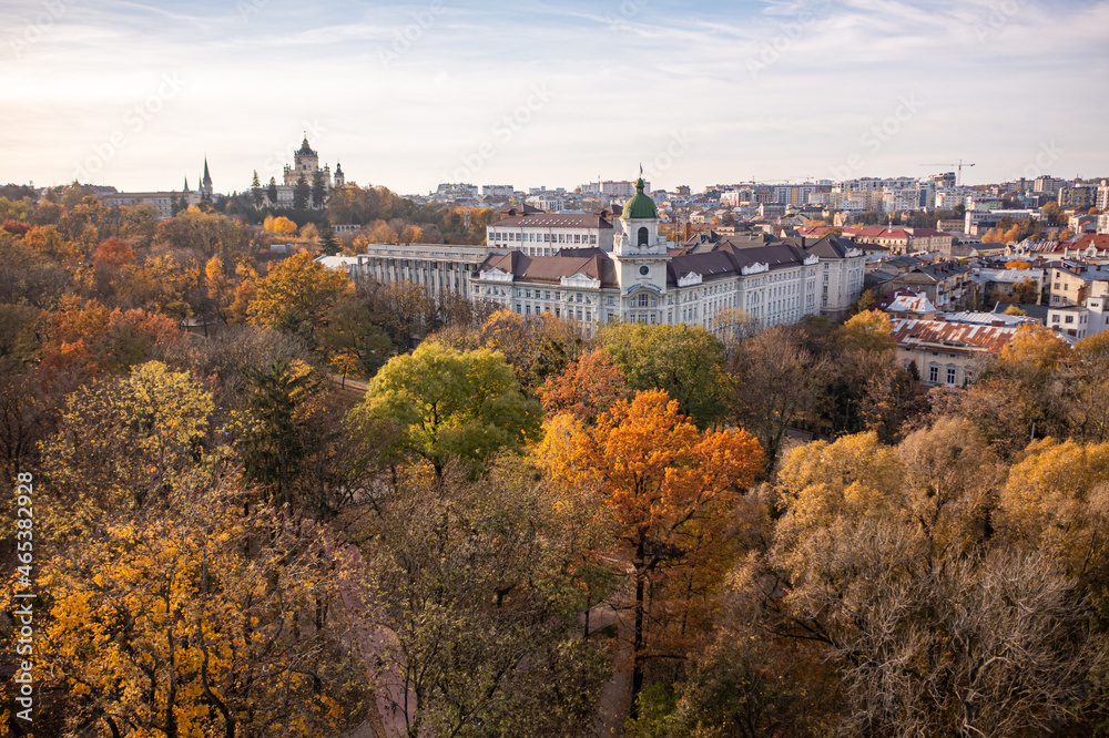 Aerial view on park in autumn