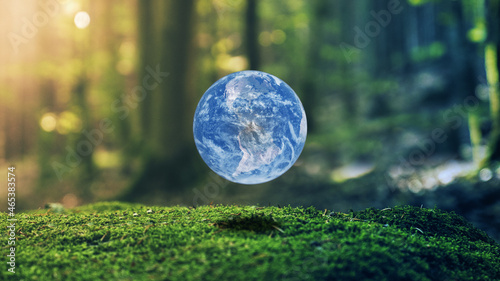Photo Realistic Green Earth Design in Moss Forrest Background 3D Render