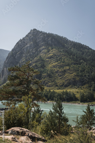 Fototapeta Naklejka Na Ścianę i Meble -  Katun river, Altai Republic