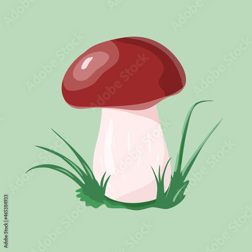 Porcini Mushroom Isolated on Pastel Green Background in Cartoon Style. Autumn Boletus.