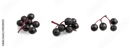 Elderberry berries isolated on a white background, macro.