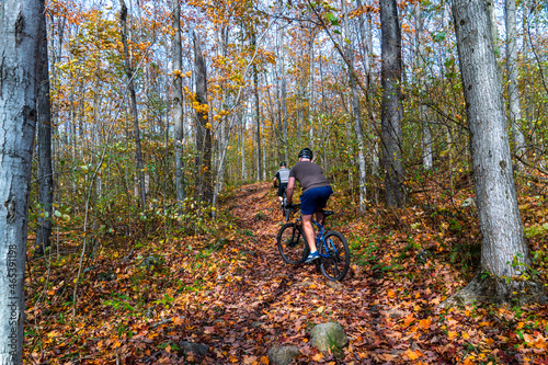 Two cyclists ride on a forest path in the woods