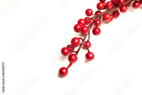 red berries holly isolated on white background