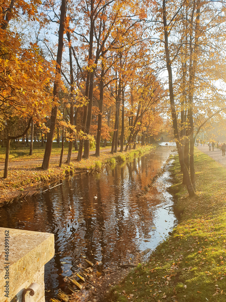 fall in the park fall in the park
