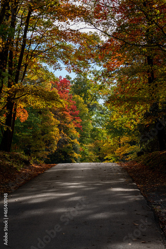 Paved road in the Coopers Rock state park in the autumn near Cheat Lake near Morgantown  WV