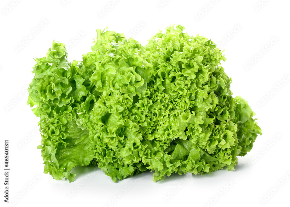 Fresh green lettuce isolated on white background Fresh green lettuce isolated on white background