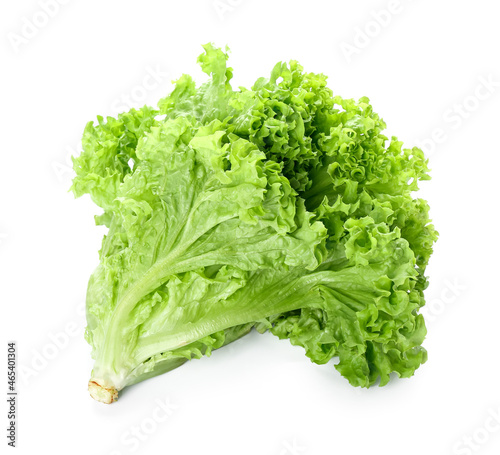 Fresh lettuce isolated on white background