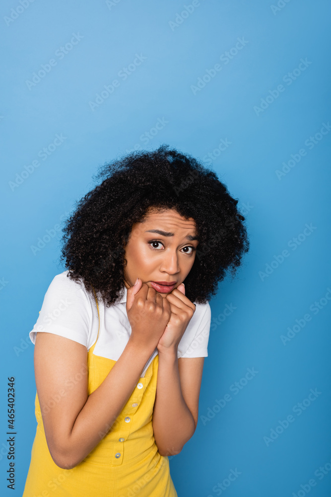 scared african american woman holding fists near chin while looking at camera isolated on blue scared african american woman holding fists near chin while looking at camera isolated on blue