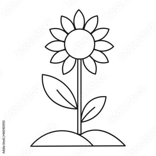 Houseplant sunflower sprout contour ecological icon isolated