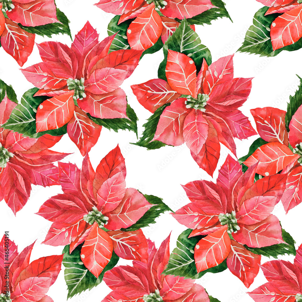 Hand drawn watercolor botanical sketch of red poinsettia leaves isolated on white. Christmas star for wrapping paper, home decor and textile, decoupage  and scrapbooking craft, greeting cards