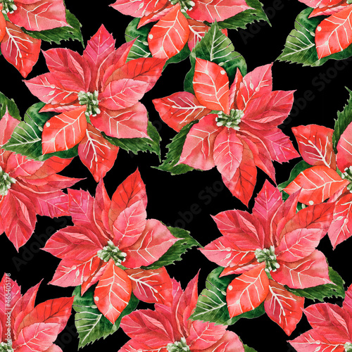 Red poinsettia flowers with green leaves isolated on black background. Hand painted watercolor elements on seamless pattern for wrapping paper  Christmas decorations  decoupage and home textile