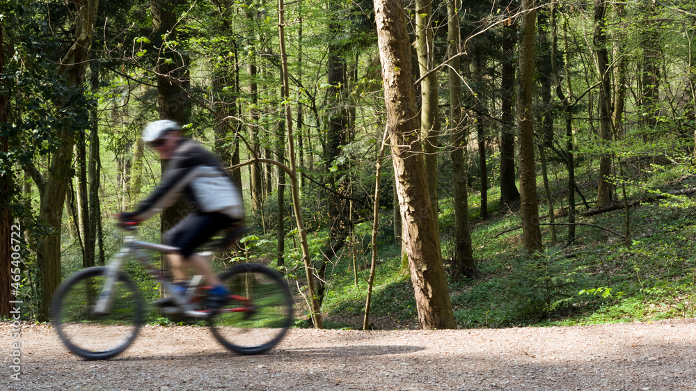 Fototapeta premium Biker auf Waldweg