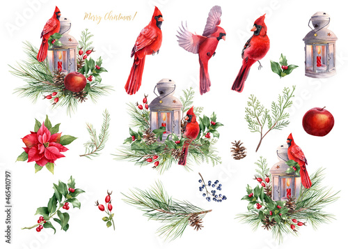 Leinwand Poster Cardinal bird, vintage lantern, winter greenery