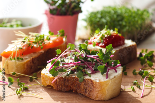 Fototapeta Naklejka Na Ścianę i Meble -  Toasts with microgreens on the table. Healthy food, vegan food and dieting concept