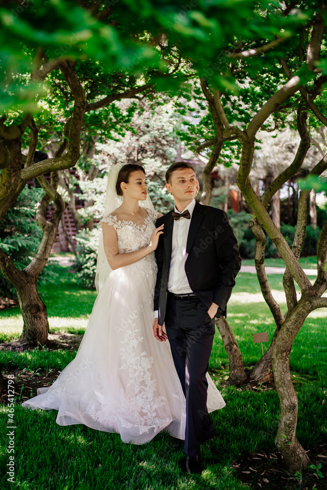 beautiful newlyweds by the trees in the park.bride and groom on a walk in nature