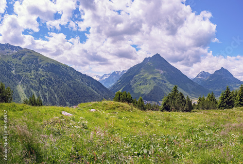 Mountain Meadow © Detlef