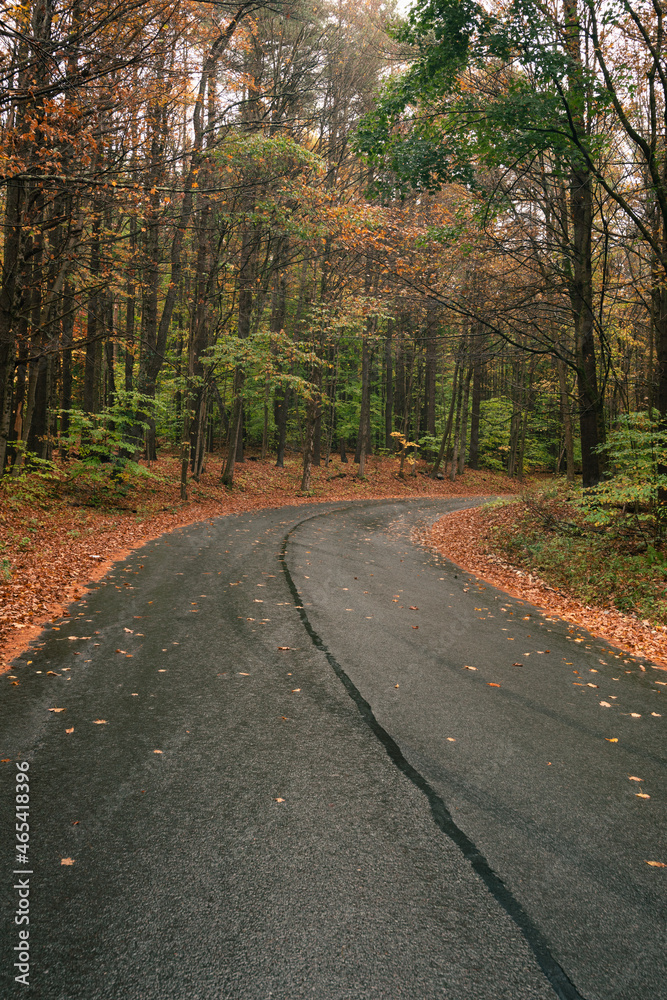 winding road through forest with fall foliage