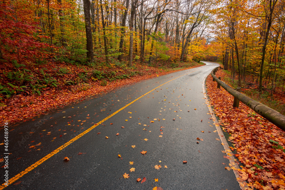 winding rural road through forest in fall