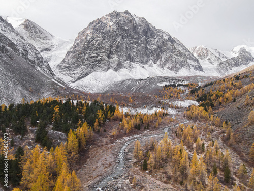 Mountain river with a view of yellow larches, mountains and glacier in autumn at sunset. The view from the drone..Altai, Russia.