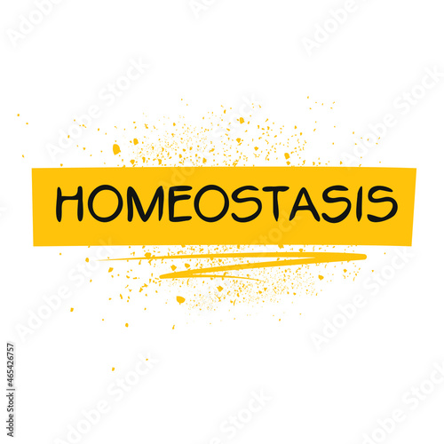 homeostasis hashtag text, Vector illustration. photo