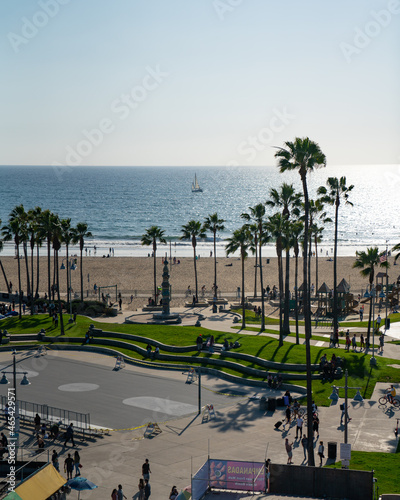 wide shot of sunset and palm trees at venice beach in los angeles