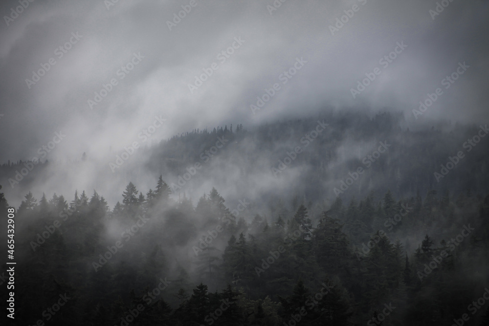 Misty mountainside in PNW