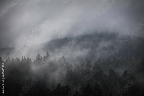 Misty mountainside in PNW © Mark