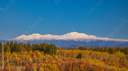 Autumn in Biei / Autumn leaves and snow-capped Mt. Daisetsu / A spectacular view photo