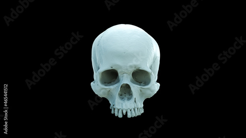 Only Human skull full face on Black Isolated Background. The concept art of death, horror. Design for print, poster. A symbol of spooky Halloween, Virus, immortal, pirat. 3d rendering illustration.