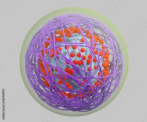Fotografie 3d polymeric nanoparticle as a nanocapsule use as imaging agents or for drug del