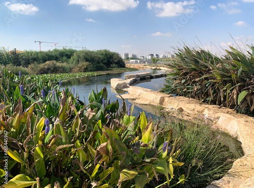 New park in the desert near Beer Sheva photo