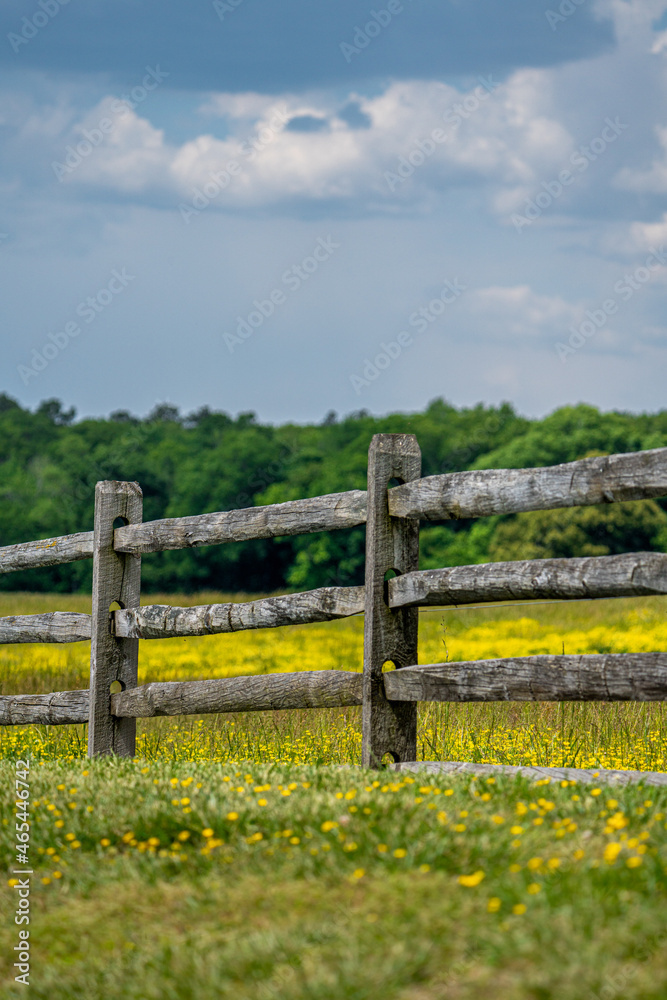 Spring landscape shot of a field in Eastern Maryland