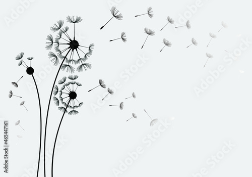Set of hand drawn dandelion flowers. Abstract floral summer posters  wall art isolated on white background   Creative vector illustration